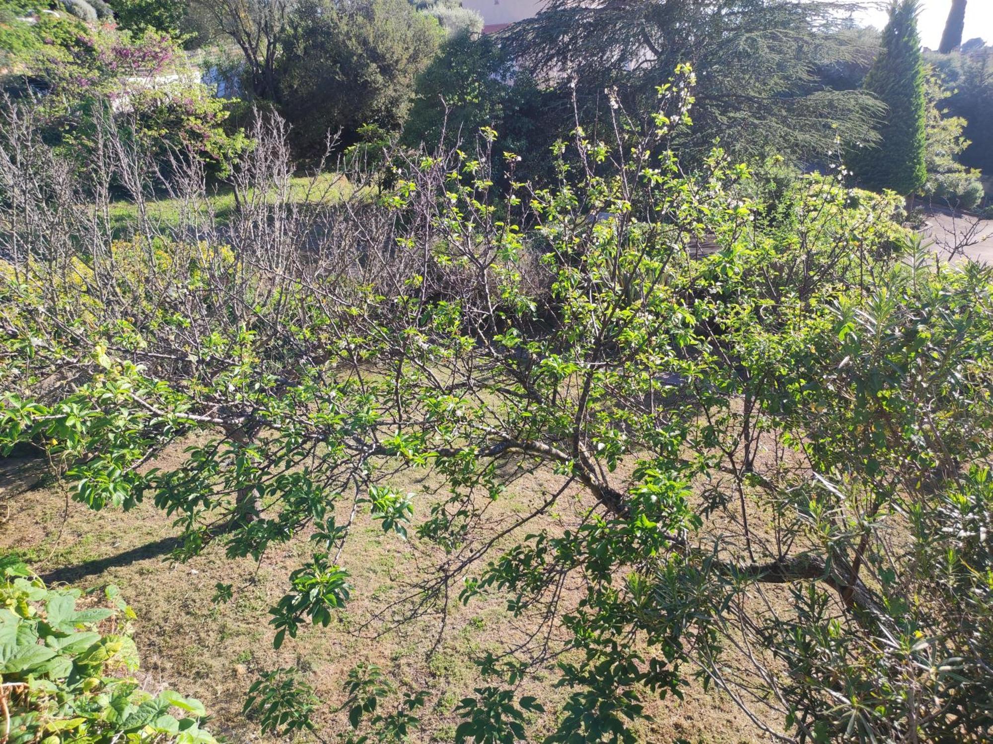 Bastide Provencale Vue Mer A 5 Min De La Plage 사나리쉬르메르 객실 사진